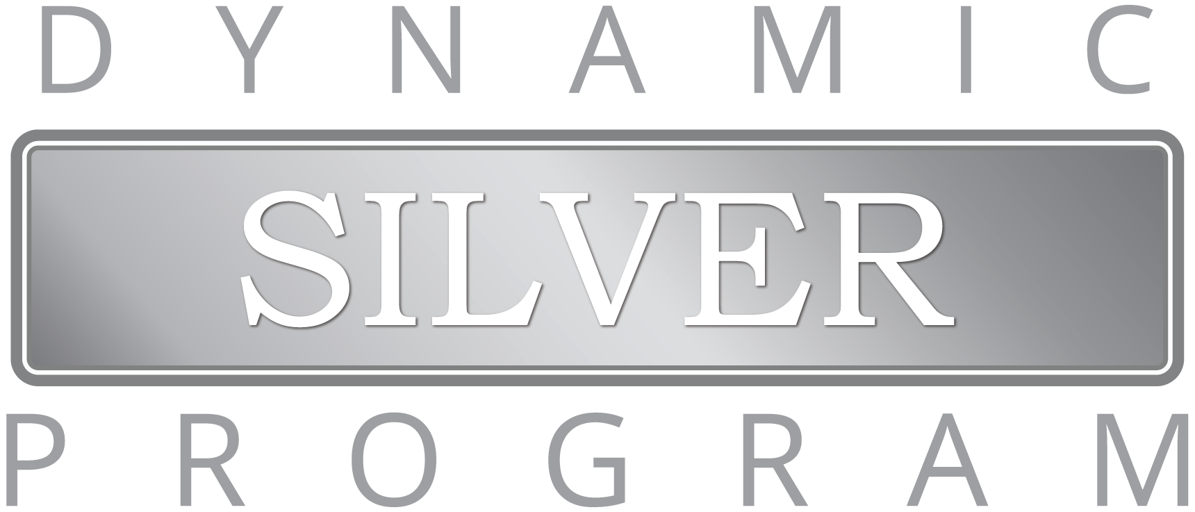 Logo Dynamic Silver Series